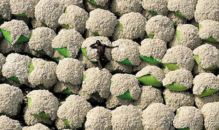 [신문은 선생님] [도전! 창의퀴즈왕] 콩쿠르에 참석한 지휘자… 악보에 판 함정을 피할 수 있을까?