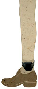 
	���ڹ��� ��ä ģ�� ������ 50�� ����
