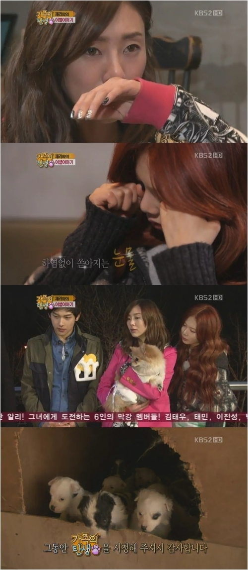 
	'������ ź��', �ʹ� ���ص� ����? �ʶ��� ����
