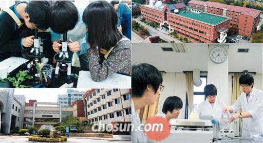 독창적 연구 내용·창의적 문제 해결력 뽐내라
