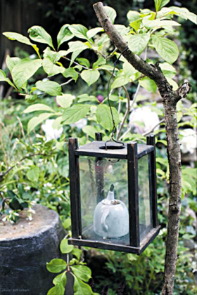 
	������ ��ÿ�� �ö�� � ��Ƽ�𰡵� �ι����� �ݸ޴��� ������ ���ؿ�� ���� �桯�� �Ϻ�./Ȳ���� ����
