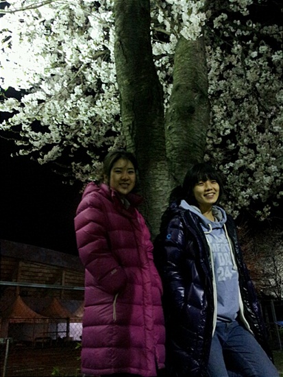 
	�ȿ���-������, ������ ���ɳ��� �տ��� ������
