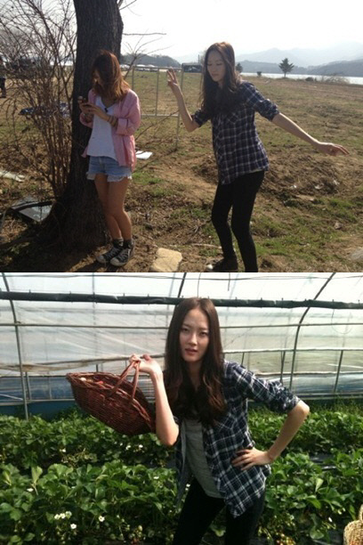 
	����=������ �۰� Ʈ����


