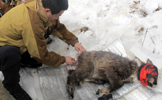 
	���� 3�� ������ ���ǻ� ������������� ������ Ż���ߴ� ������ ���������� 1�� ��翡�� ���ǻ簡 �������� �����ϰ� �ִ�. /���������������� ����
