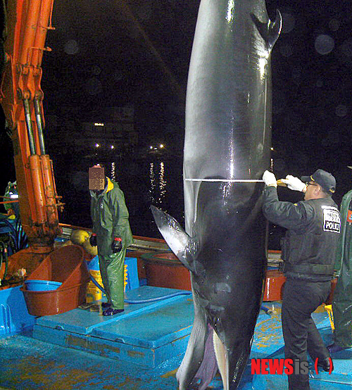 
	
                ���� �չٴټ� ��ũ���� 1���� ���� ä �߰�
            
