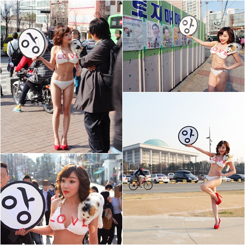 
	���÷�, ��ǥ ���� ��Ű�� �����ս�..'�İ�'
