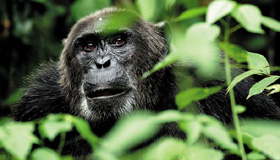 
	[TV���� ch19] ���� ���������� �ڿ��� �������� ������ ����
