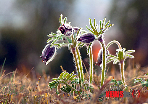 
	
                �¾����� �� �߻꿡 Ȱ¦ �� �ҹ̲�
            
