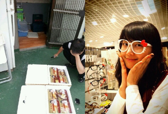 
	<����=��Ǯ Ʈ����, ������ Ʈ����>


