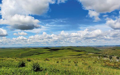 
	�߻������� ����, �ƽþ� ��������� ����
