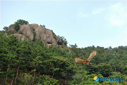 
	
                �ξ��� ���� �Ʒ����� ġ����� �����ξ��� ����
            
