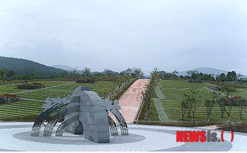 제주자연잔디 이미지