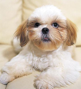 
	�����Ϻ� DB
