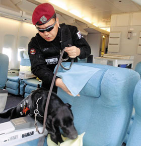 
	���� ���߹� ó���� ������� �װ��� ���ο��� ���� �˻��� ���̴� ���. / �����Ϻ� DB
