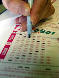 
	�ζ� 490ȸ 1�� 7����1�δ� 18��6023����
