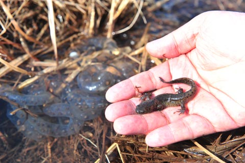 
	[��������] "�����ȴ�"�� õ���� ���մ��� ������ �ܿ�� �־���
