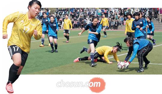 주요 大 입시 반영 검토하자… 학교 스포츠클럽 뜬다