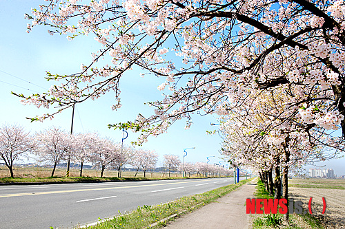 
	
                ��õ�ؼ����� ���Է� ���� ����
            
