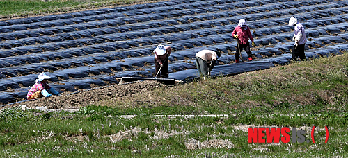 
	
                �ϼ� �ٻ� �������
            
