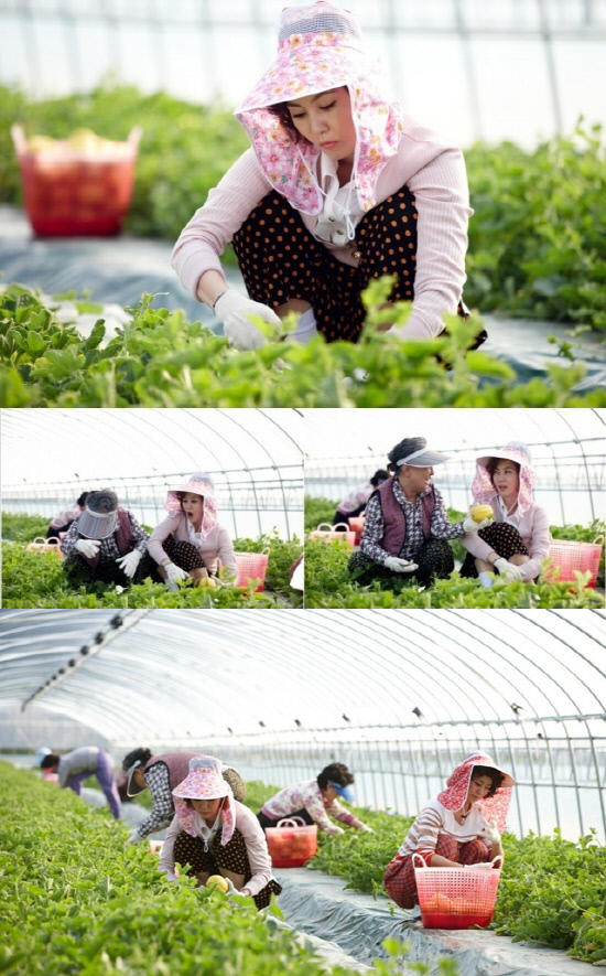 
	��������=�ΰ����ʸ�


