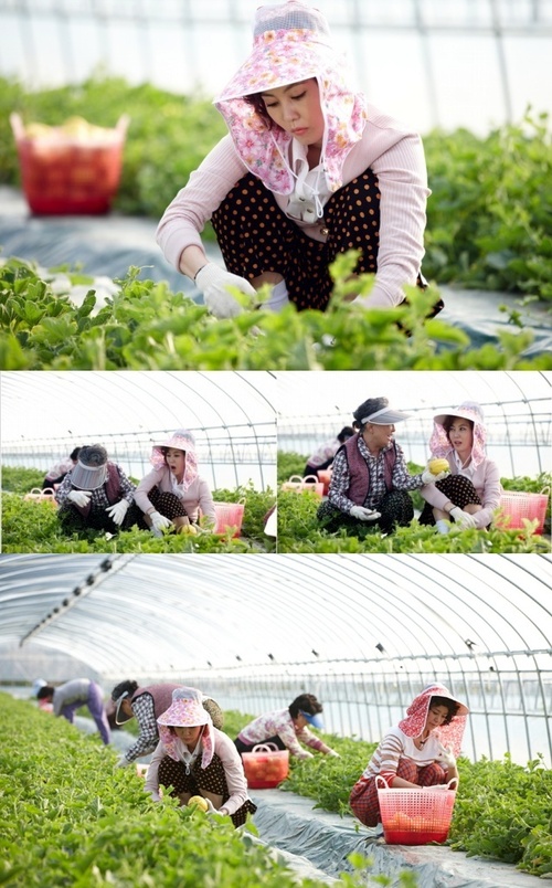 
	'�ձ���' �賲��, ������ �мŴϽ�Ÿ���! '���޶�'
