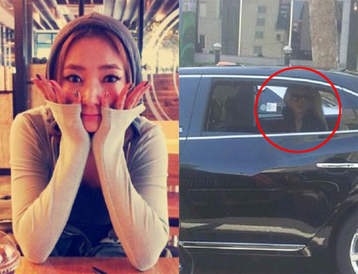 
	<����=���翵 Ʈ����>


