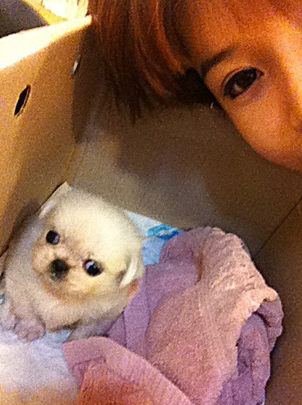 
	������ó=�ں� Ʈ����


