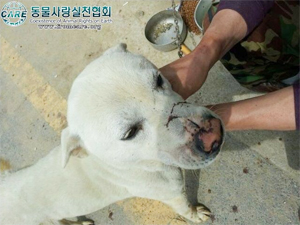 
		ö������ �� �����ϴ� 'ö�� �Ǹ�'
