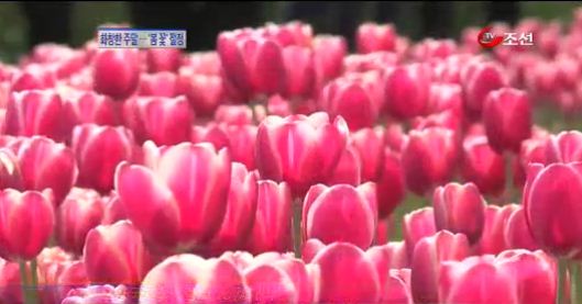 
	[8�ô��� '��'] �ָ� ���� ȭâ������ ������ ������ 
