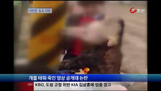 
	[8�ô��� '��'] �����д� ���������̹��� '��ġ �Ǹ�'
