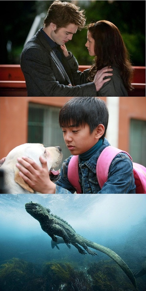 
	��̳� Ư����ȭ, '������', '����', '���ǽ�' ��
