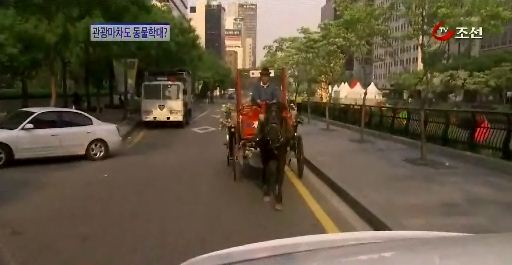 
	[8�ô��� '��'] ���������� �����д�?������ �ߴܵǳ�
