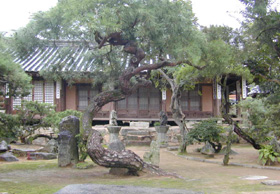 
	������ ȸ���� ���ε��� �ҷ� ��Ƽ�� �ϸ� ����ó�� �� �ܾϹμӸ����� �������. /�ƻ��û ����
