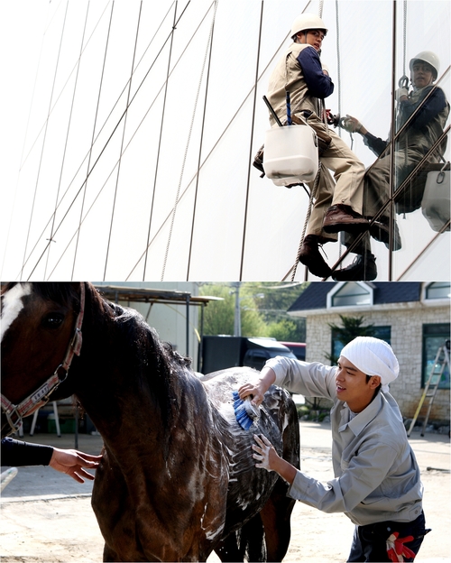 
	'���̵�' �����, �ϵ��ھ� �˹� ������..'���� ����'
