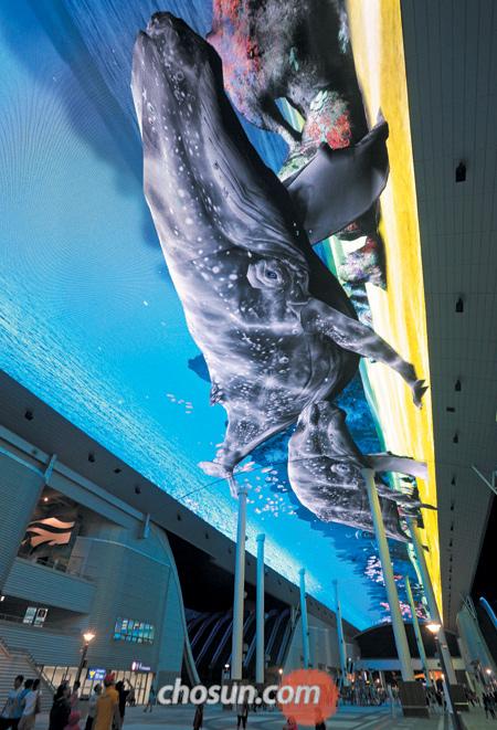 
	�迵�� ����
