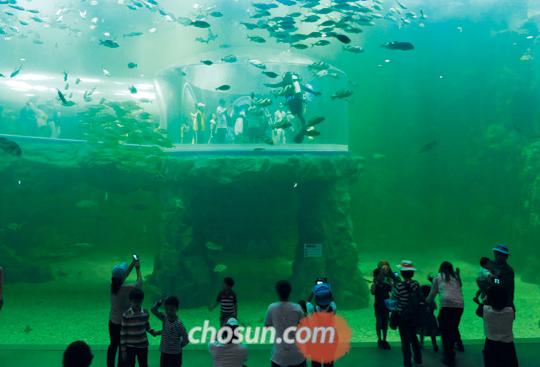 
	�迵�� ����
