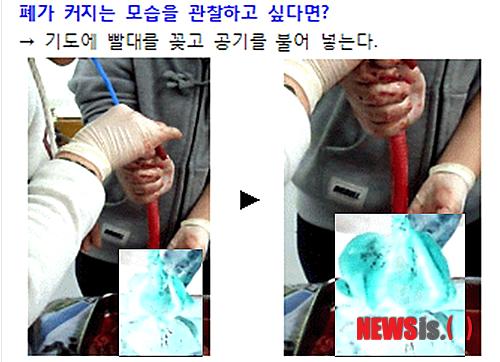 인천 여고서 유기동물 해부실습…동물학대 논란
