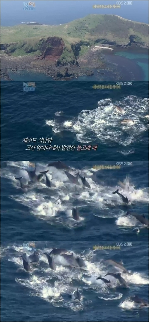 
	��1��2�ϡ� ���̷ο� ������ ���� ����ȭ ���� ���� �١�
