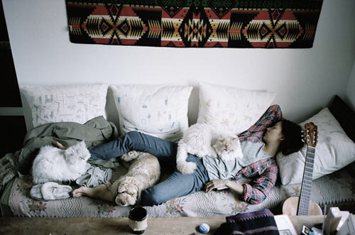 
	'���� ��ȿ��' ������ �̷��� ���ڷ� ����?
