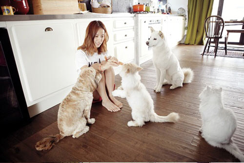 
	'���� ��ȿ��' ������ �̷��� ���ڷ� ����?
