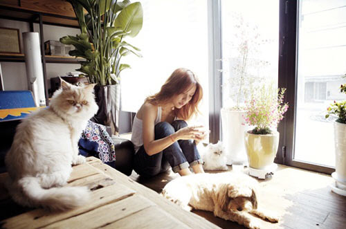 
	'���� ��ȿ��' ������ �̷��� ���ڷ� ����?
