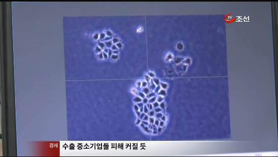 
	[8�ô��� '��'] "�޴���ȭ ���� ���� ��� ADHD ���ɼ� ����"
