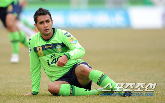 
	���� ���׿�. /����������
