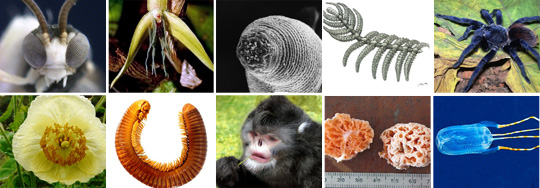 
	/��Ž�籹���ⱸ(IISE) ĸó
