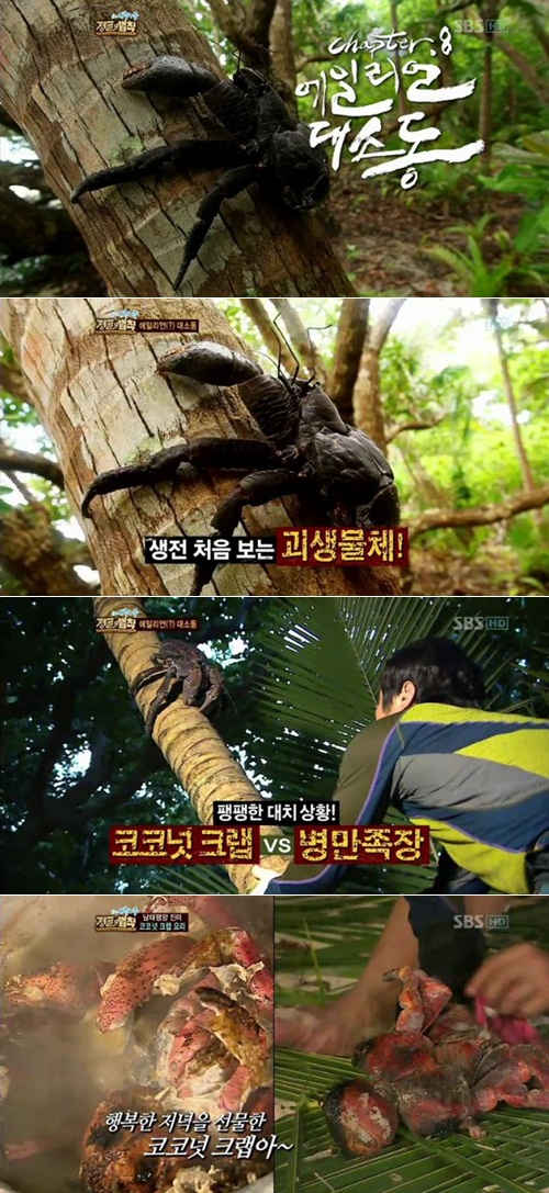 
	'����2', ���ڳ� ũ���� �Ľ�Ÿ ��?
