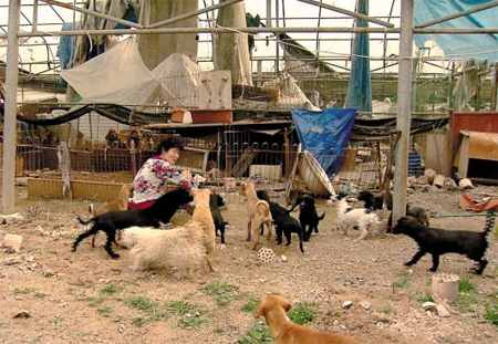 
	���ѻ��� ������ ������� ��� ������?
