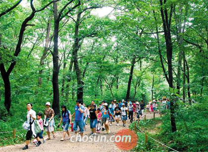 
	�ڷ����. ��������������� ã�� ���� ���� �湮������ ��â�� ������ �Ȱ� �ִ�. /�����Ϻ�DB
