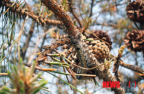 
	
                �긲û, �긲������ ���߹���
            
