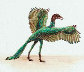 고교 교과서 시조(始祖)새 논쟁