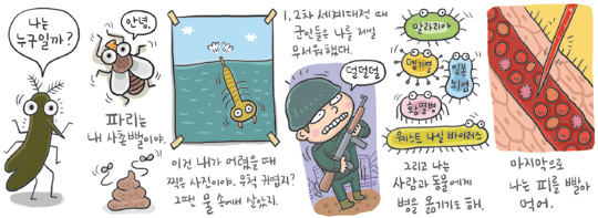 [신문은 선생님] [도전! 창의퀴즈왕] 세계대전에서 총·폭탄보다 사람을 더 많이 죽게 한 것은?